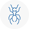 Ant Removals In Scunthorpe