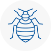 Bed Bug Extermination In Scunthorpe