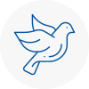 Bird Prevention Scunthorpe