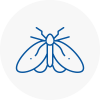 Moth Control Specialists In Scunthorpe