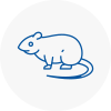 Rat Control Scunthorpe