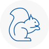 Scunthorpe Rodent Removals