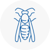 Scunthorpe Wasp Nest Removal